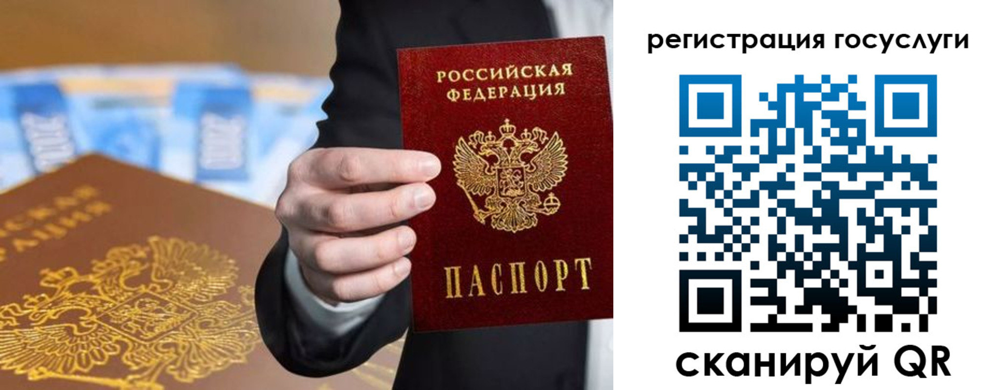 прописка в Лосино-Петровском